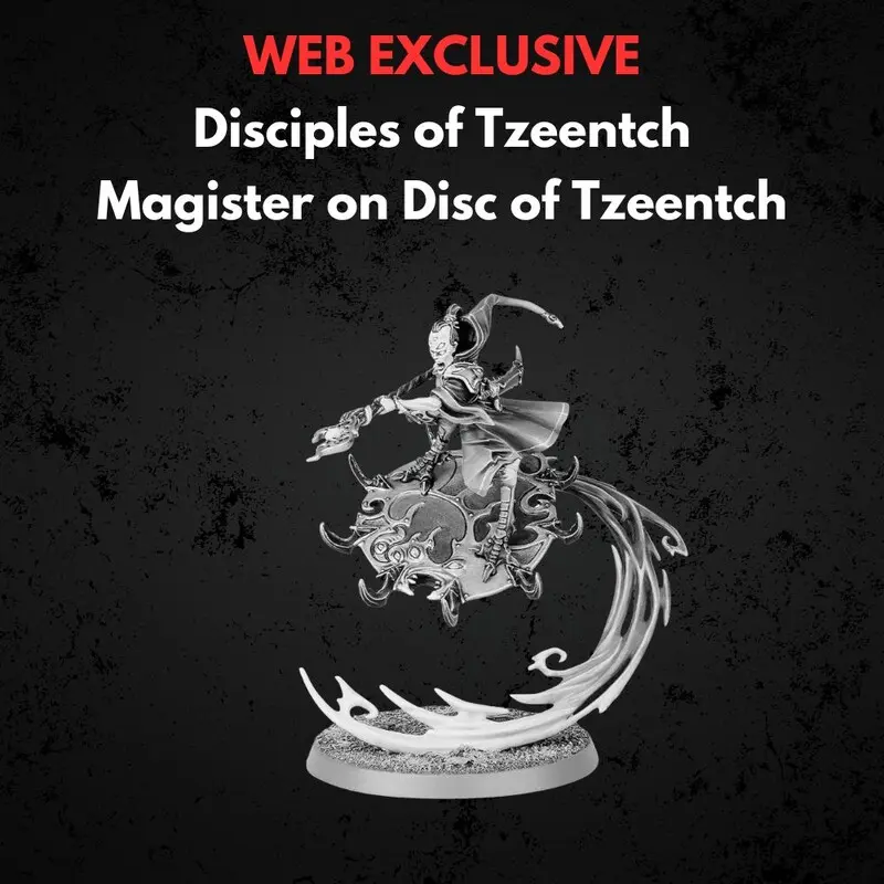 Disciples of Tzeentch Magister on Disc