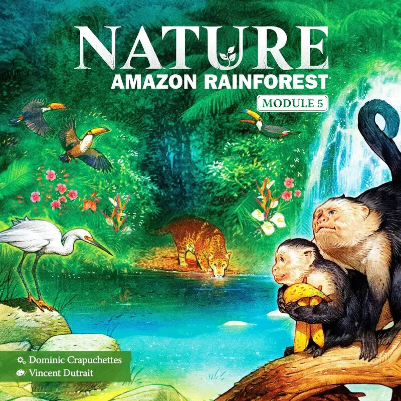 Nature Amazon Rainforest Expansion