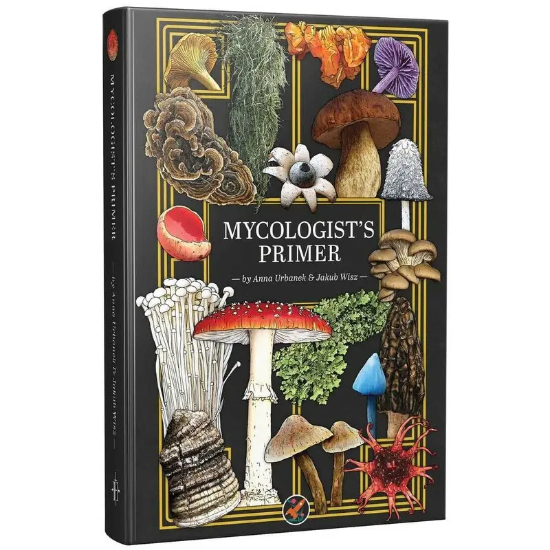 D&D 5E Mycologists Primer Flash Cards