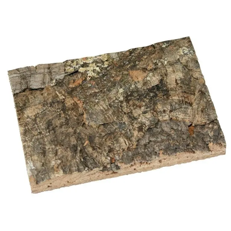 Korkbark Bakgrunn 60x30cm - Gnagerbutikken.no