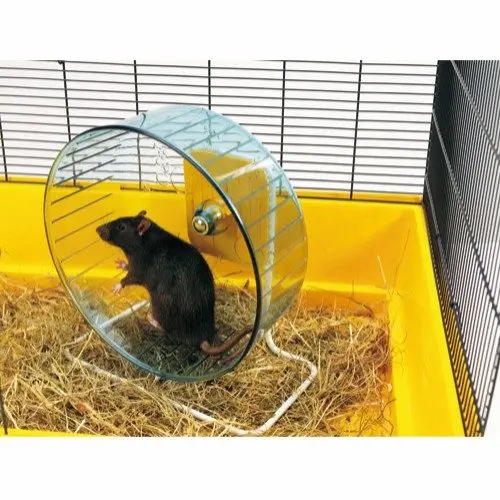 Savic Rolly Hamsterhjul med stativ - Gnagerbutikken.no