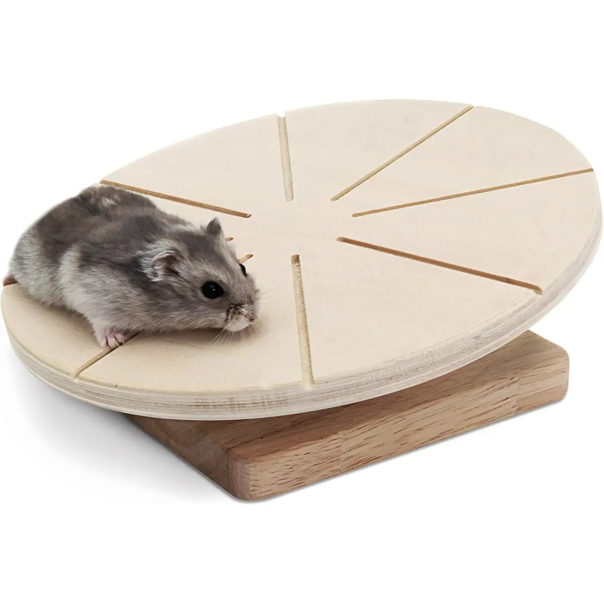 Living World Green Wooden Running Disc - Gnagerbutikken.no