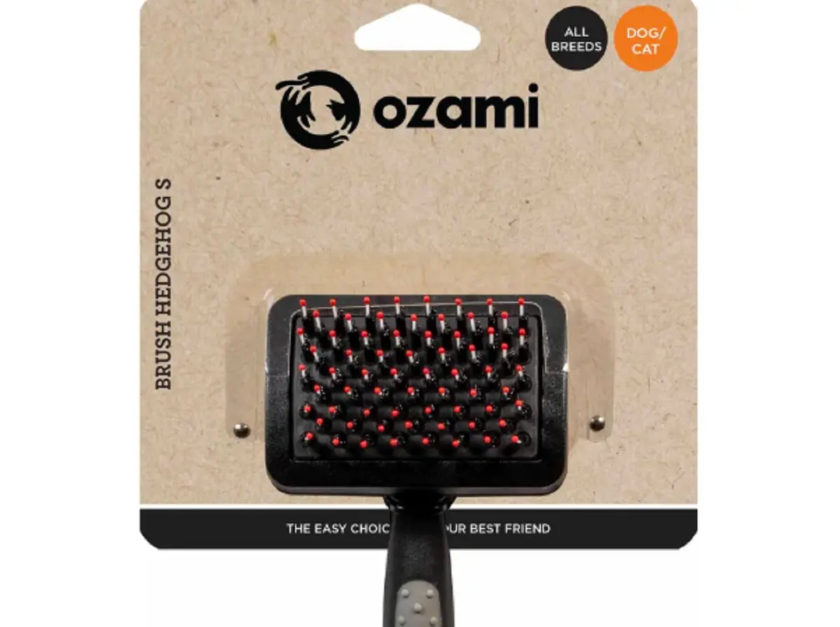 Ozami Hedgehog Kard - Gnagerbutikken.no