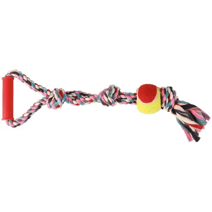 Leketau med tennisball - Hund i Norge