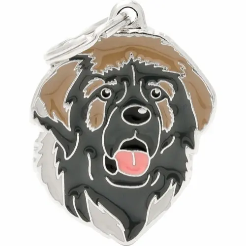 Myfamily Leonberger IDtag - Hund i Norge