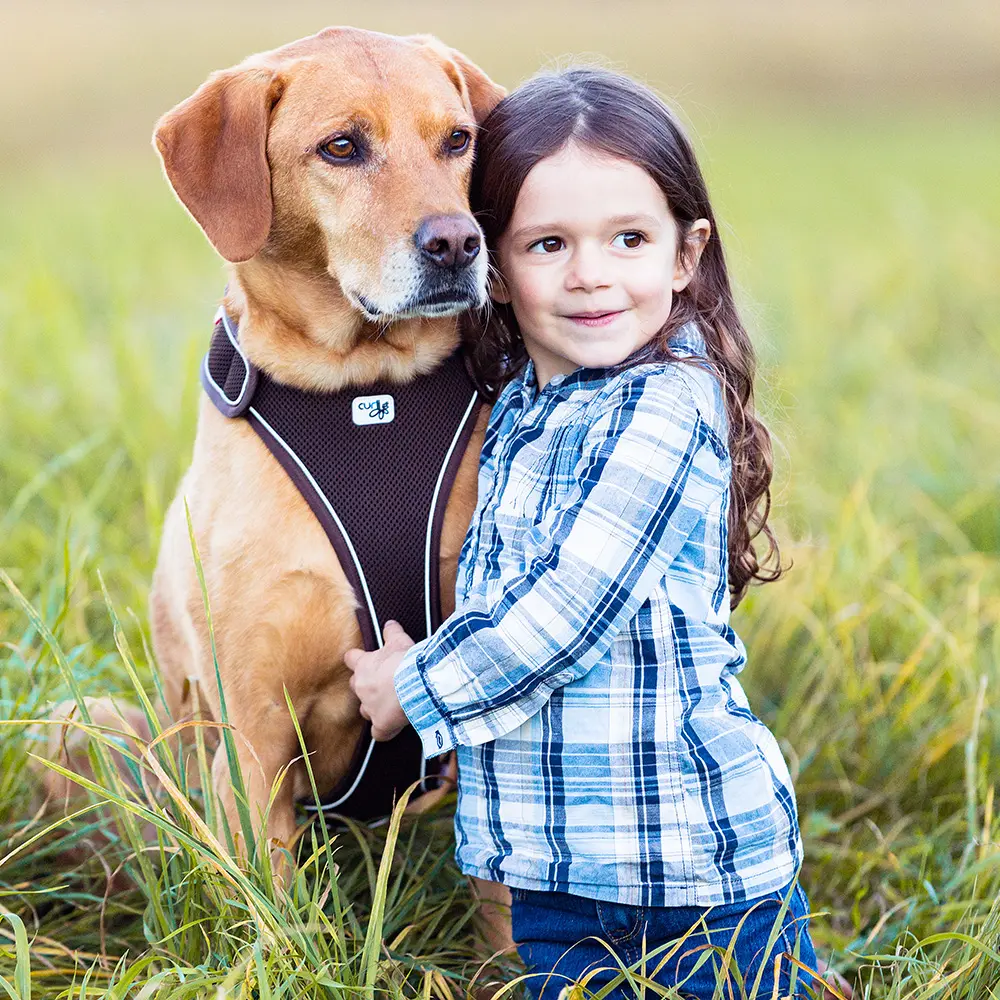 Curli Belka Harness Hundesele Refleks - Hund i Norge