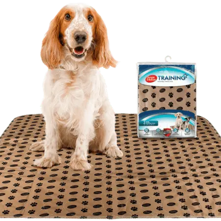 Simple Solution Washable Training Pad Tisseunderlag Valp (2 stk) - Hund i Norge