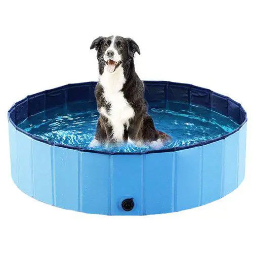 Ozami Dog Pool Hundebasseng - Hund i Norge