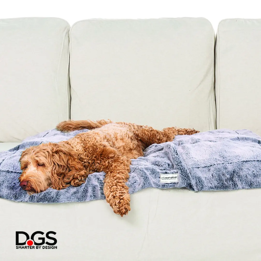 Dgs Ichy Witchy Teppe - Hund i Norge