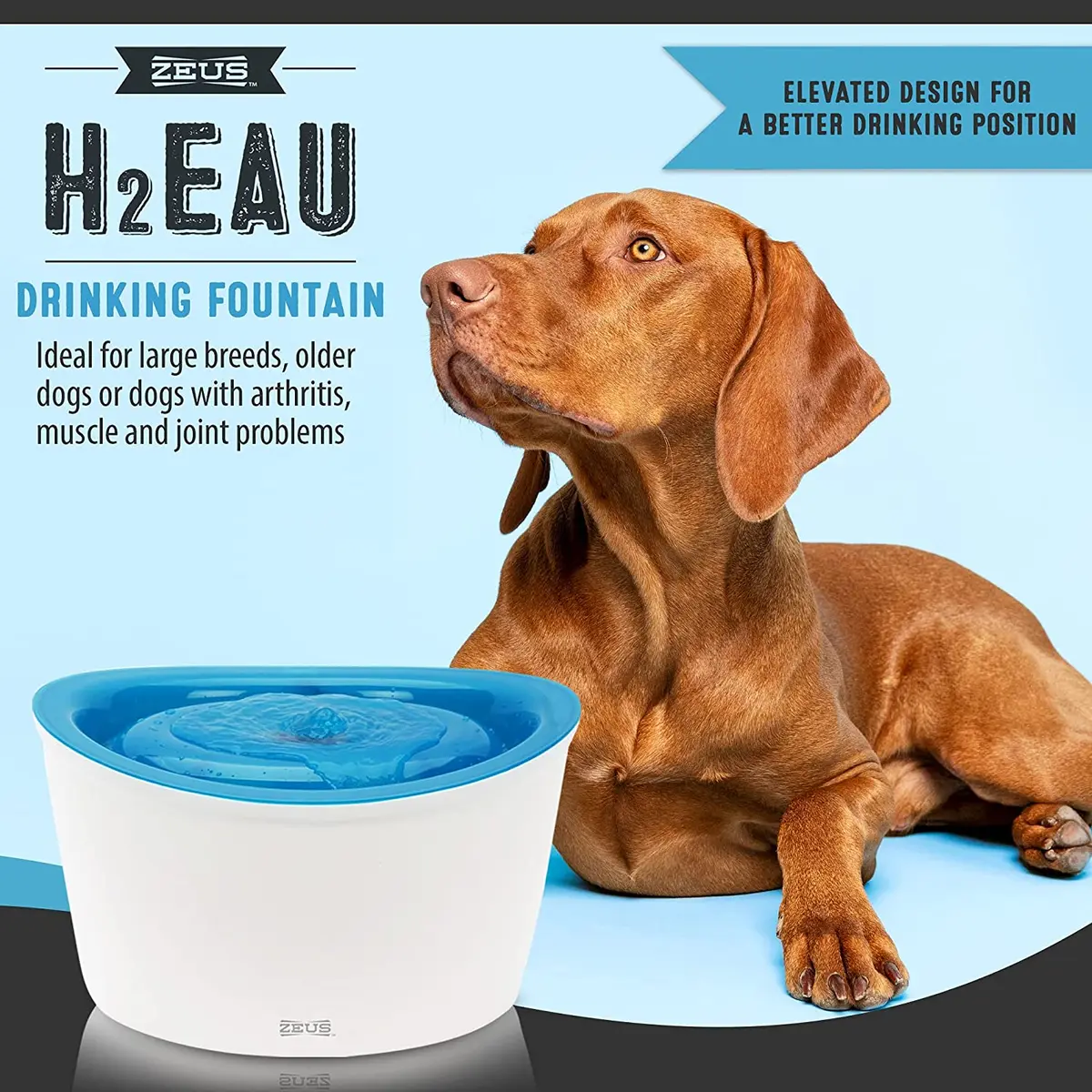 Drikkefontene Dogit 6 liter - Hund i Norge