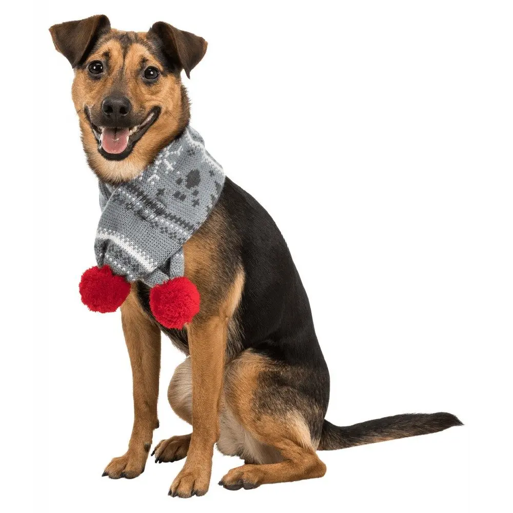 Juleskjerf hund - Hund i Norge