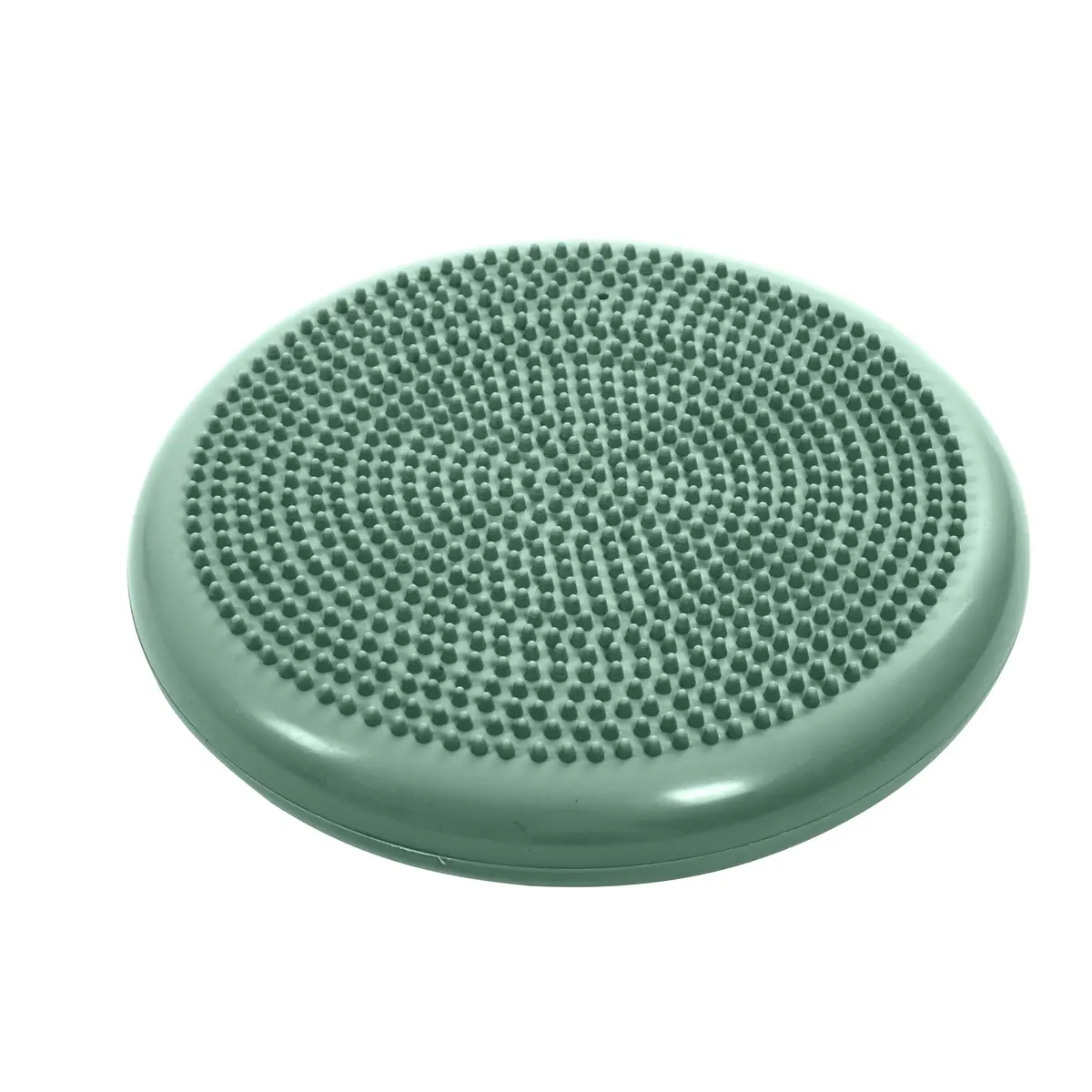Kruuse Physio Tactile Balance Discus, Balansepute Styrketrening Fysioterapi Hund - Hund i Norge