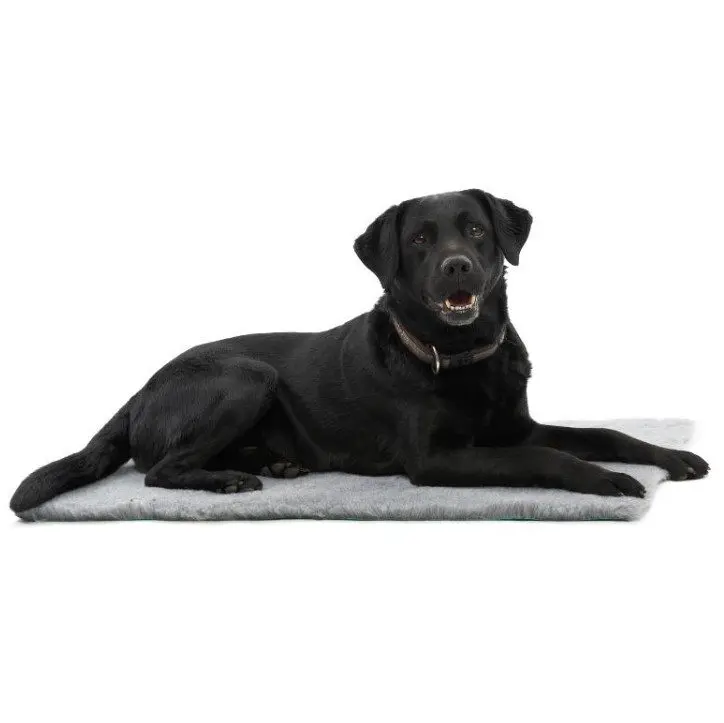 Kruuse Vet Bed Liggeunderlag til Hund & Katt - Hund i Norge