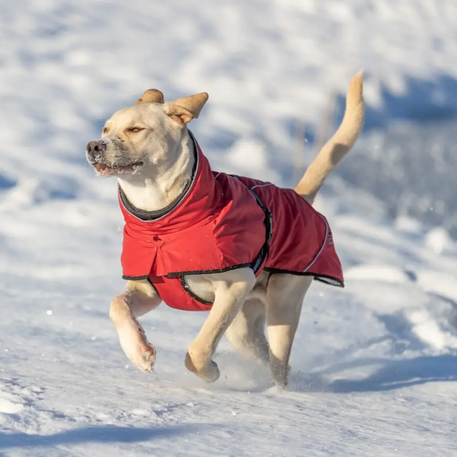Trixie Explore Thermo vinterdekken - Hund i Norge