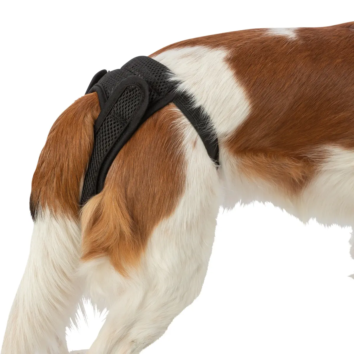 Trixie tispetruse Comfort protective mesh - Hund i Norge
