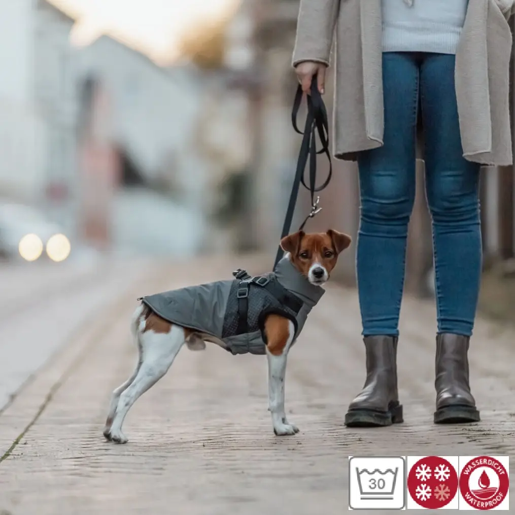 Trixie Vinterdekken med sele og refleks - Hund i Norge