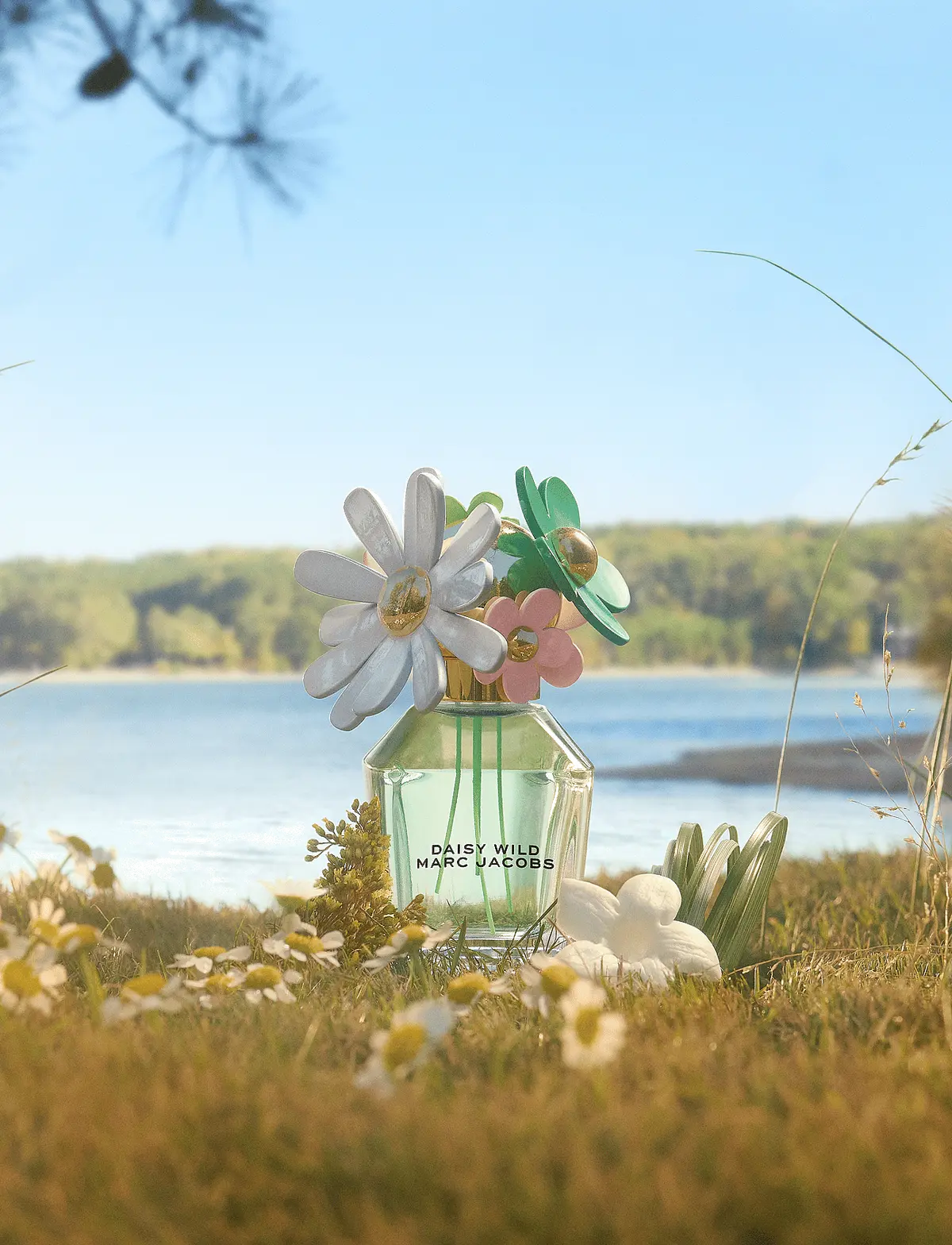 Daisy Wild Eau de Parfum