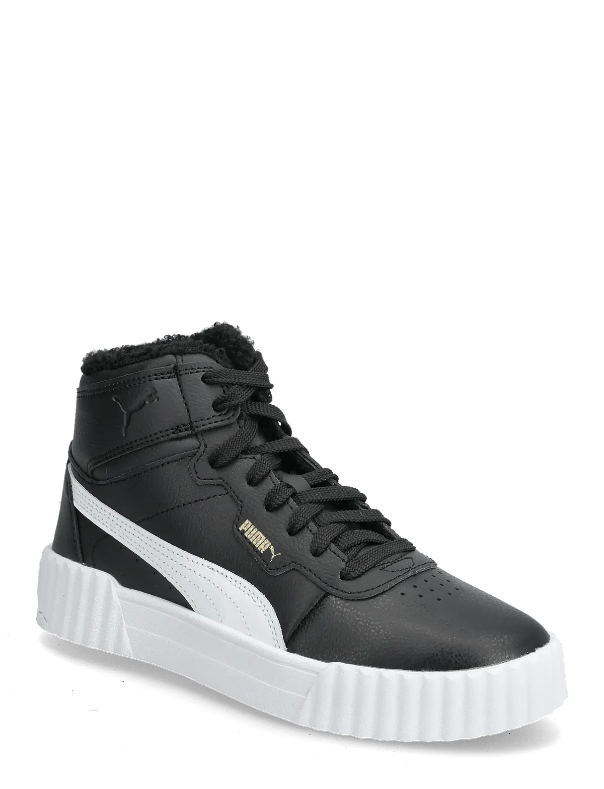 Carina 3.0 Mid WTR Jr