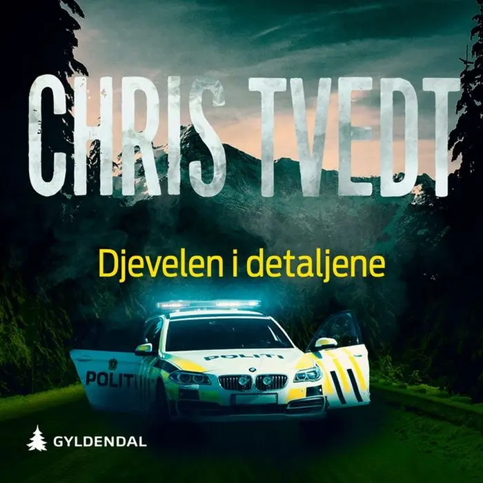 Djevelen i detaljene