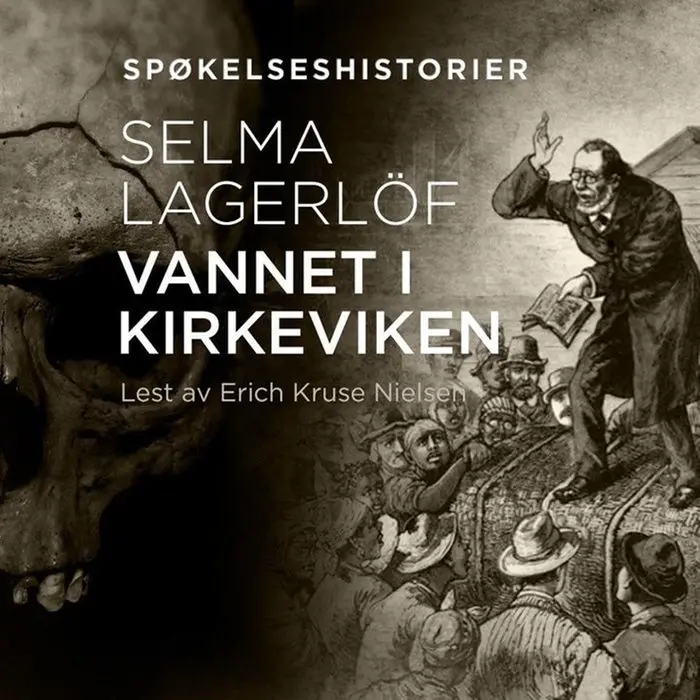 Vannet i Kirkeviken