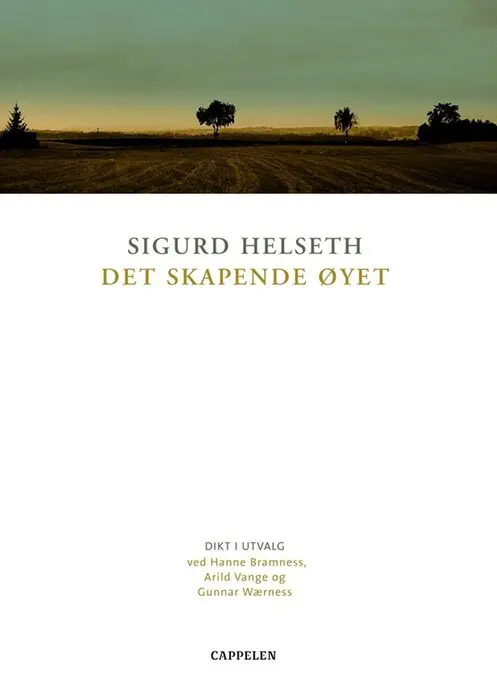 Det skapende øyet