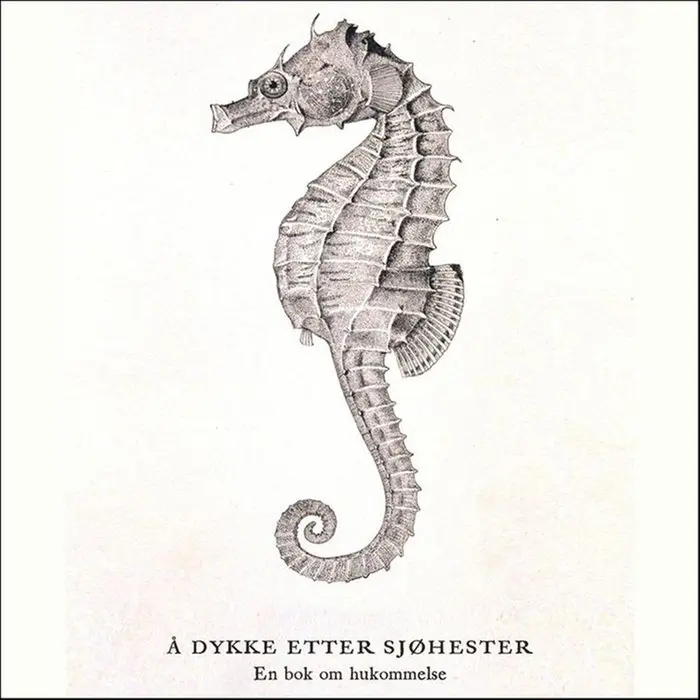 Å dykke etter sjøhester