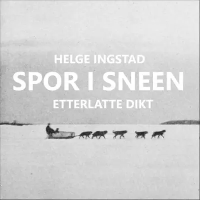 Spor i sneen