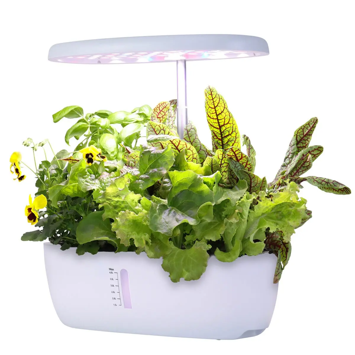 Sett for hydroponisk dyrking, 12 dyrkingsplugger og plantelys LED