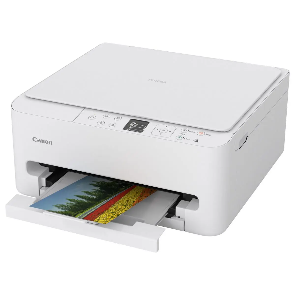 Canon Pixma TS6550i trådløs fargeskriver med skanner