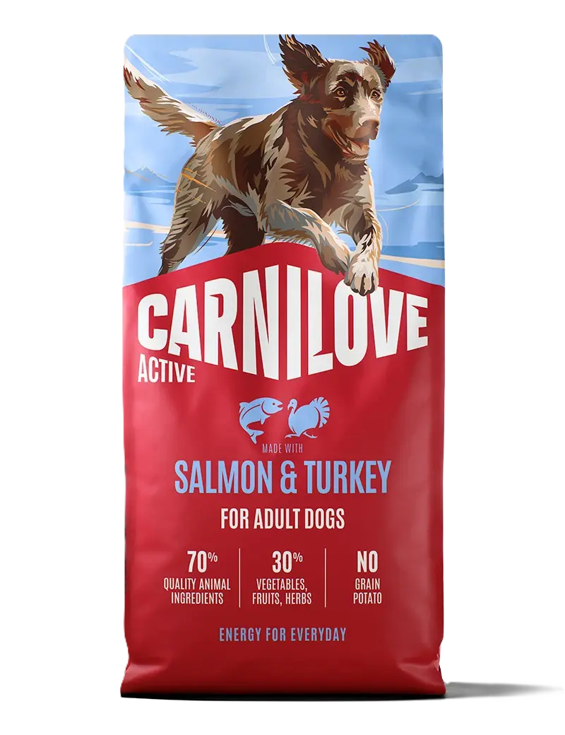 Carnilove Active Dog Salmon & Turkey for Adult All Breeds