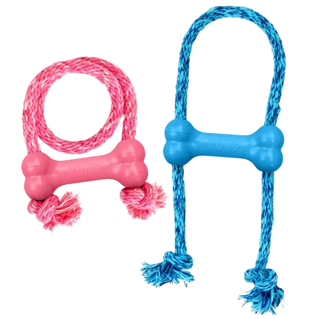 Kong Puppy Goodie Bone med tau XSmall - Blandet farge Rosa/Blå