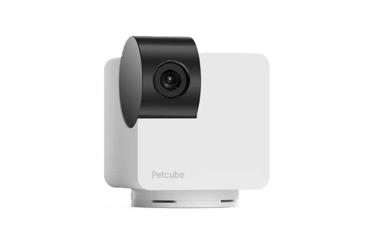 PetCube Kamera for kjæledyr 360