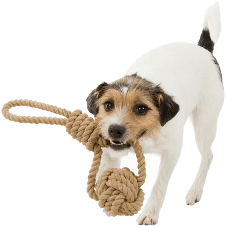 Trixie BE NORDIC Leketau med innvevd ball Hvit Ø 8 cm Lengde 30 cm