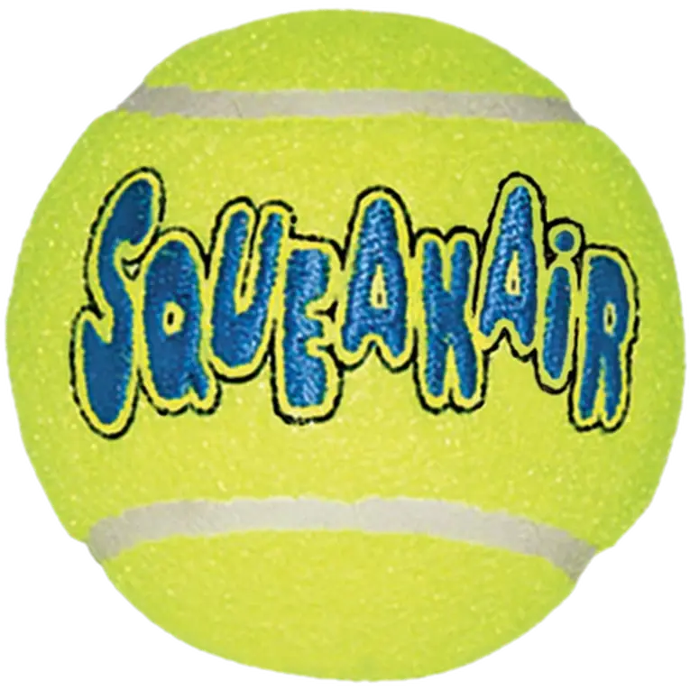 Kong Air Dog Squeakers Ball Toy