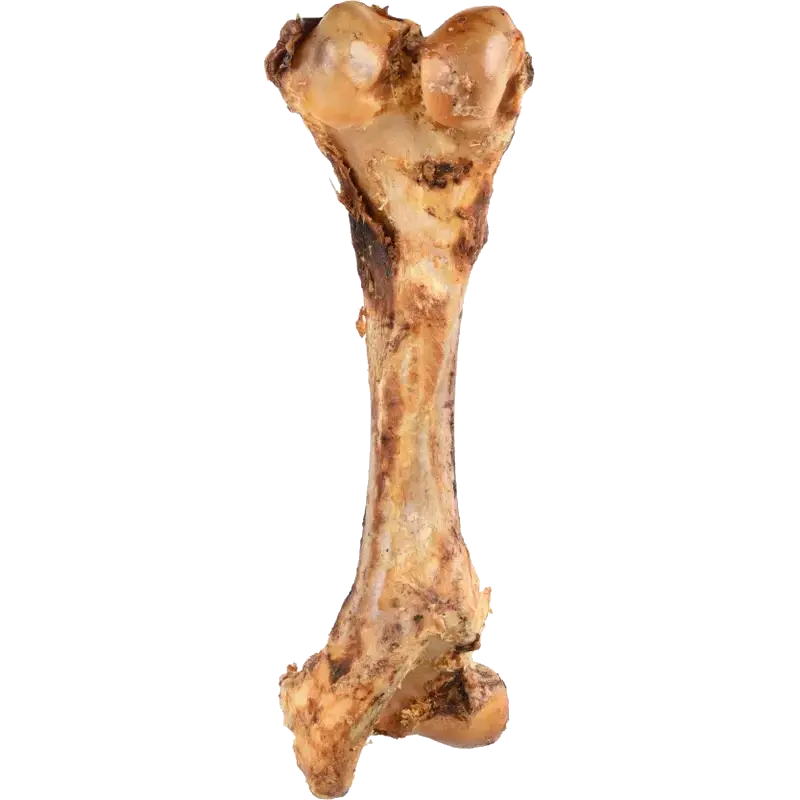 Flamingo Hund Nature Snack Fleshy Jumbo Bone 800g