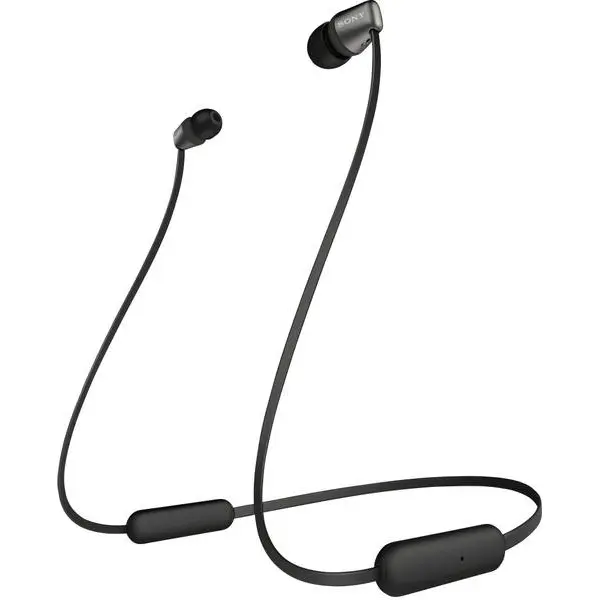 WI-C310