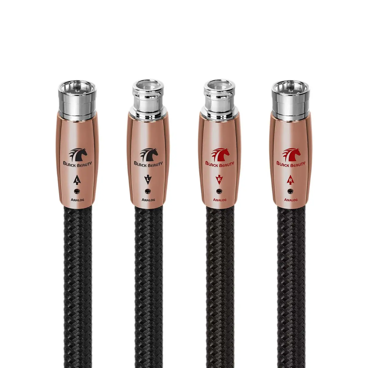 Black Beauty (XLR)