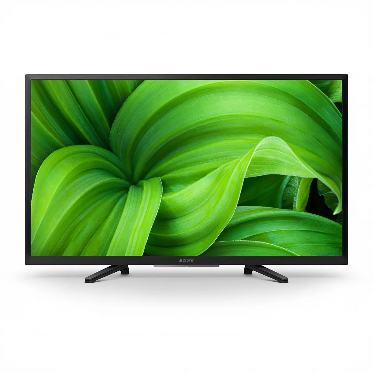 KD-32W804