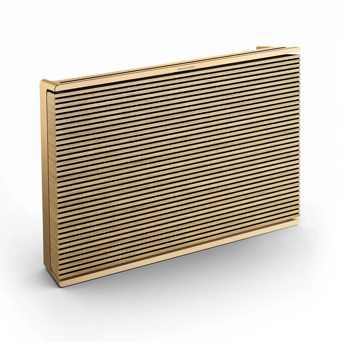 Beosound Level