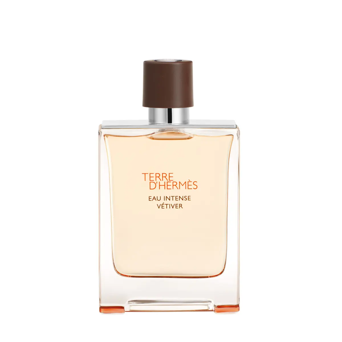 HERMÈS Terre D'Hermès Eau Intense Vétiver 100 ml