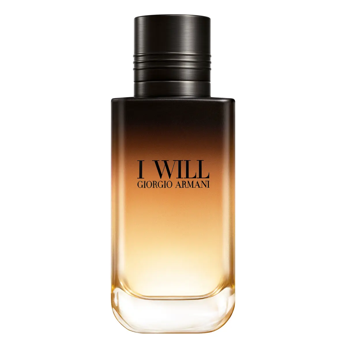 Armani I Will Eau de Parfum 100 ml