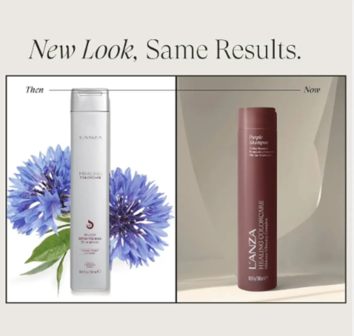 L'ANZA Healing Color Care Silver Brightening Shampoo 300 ml