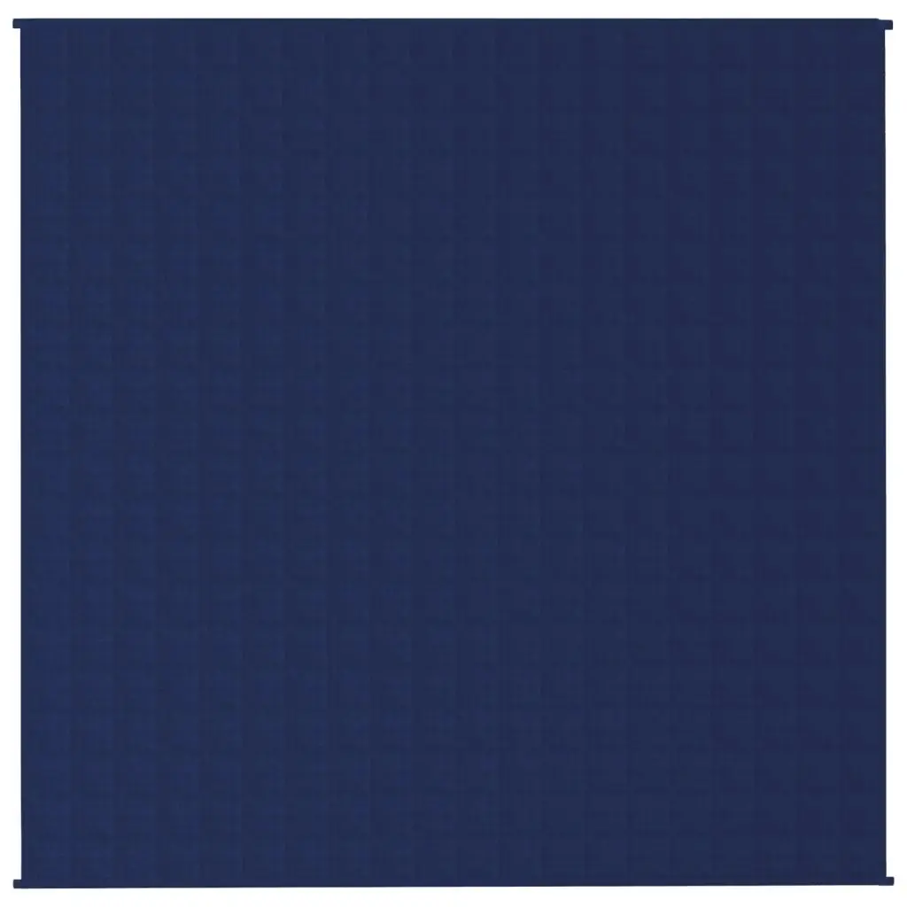 vidaXL Vektdyne blå 200x200 cm 13 kg stoff
