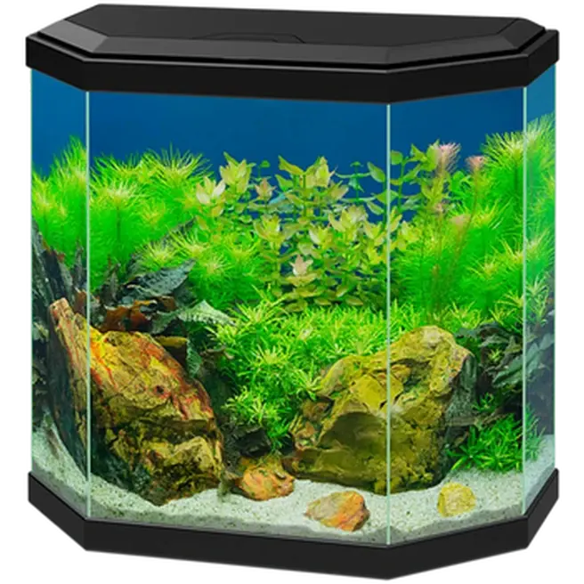 Ciano Akvarium Aqua Black 25 L
