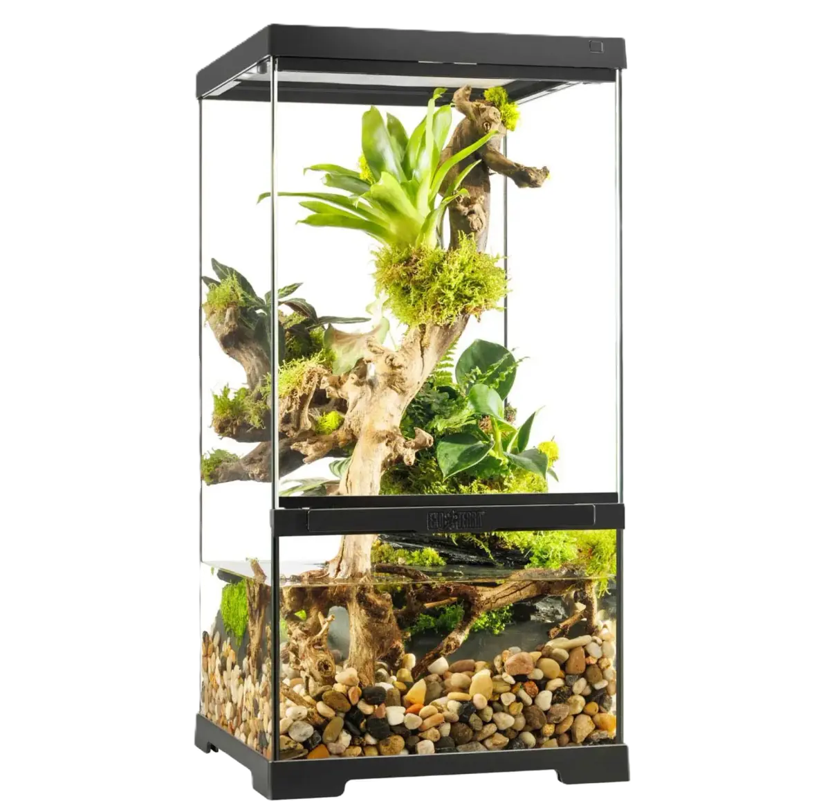 Exo Terra Pro Paludarium X-Small X-Tall - 30 x 30 x 60 cm