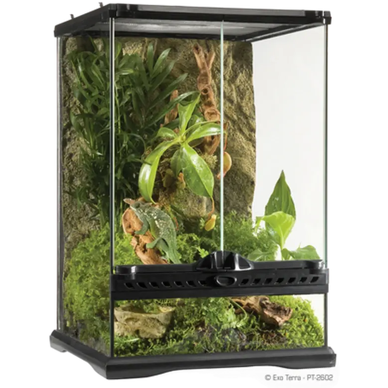 Exo Terra Glassterrarium Naturlig Mini/Tall - 30 x 30 x 45 cm