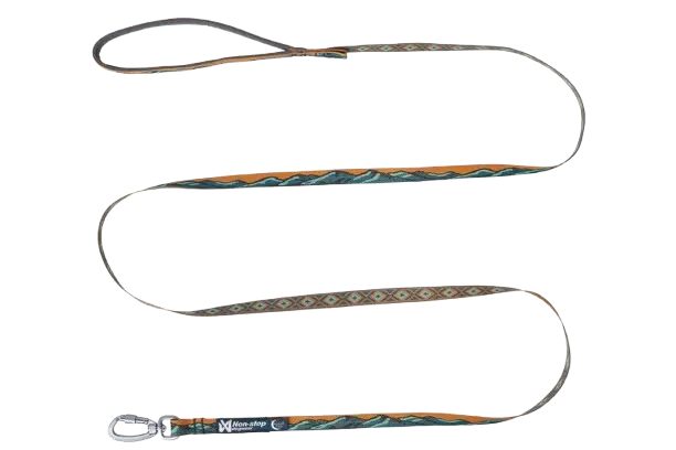 Non-Stop Dogwear Trail quest leash Rachel Pohl edition 15mm/2m teal/oak