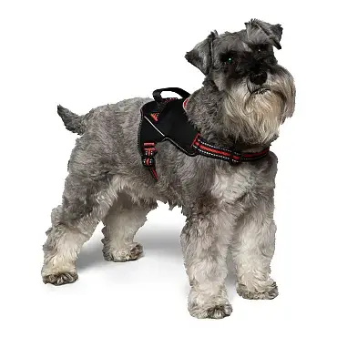 Hundesele