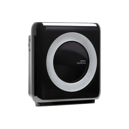 Coway Airmega Mighty Black