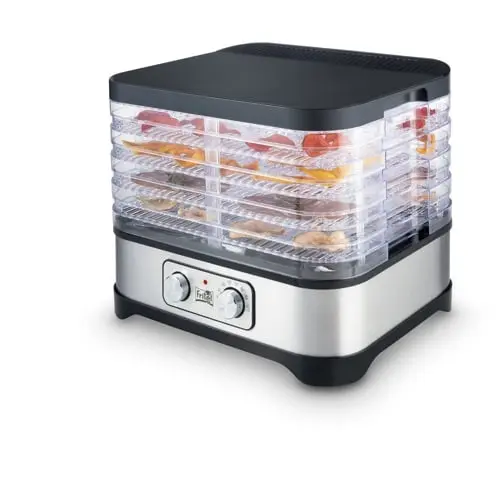 Fritel DH 2025 